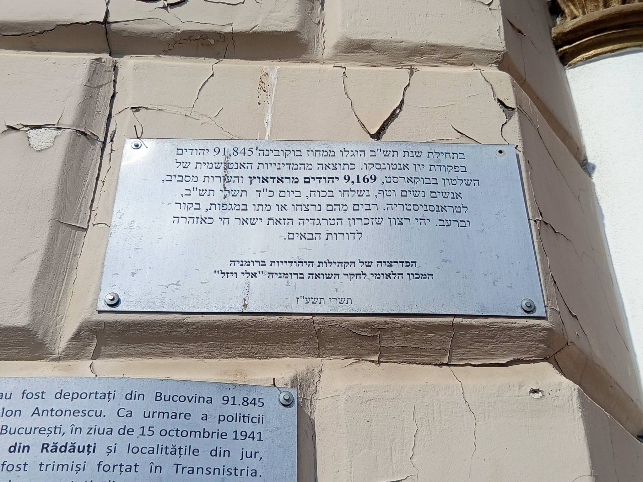 Gallery image 13