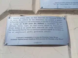 Gallery image 7