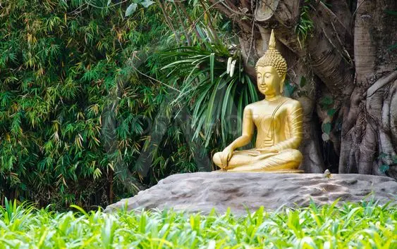 Gaál Péter: Buddha menjen a picsába thumbnail