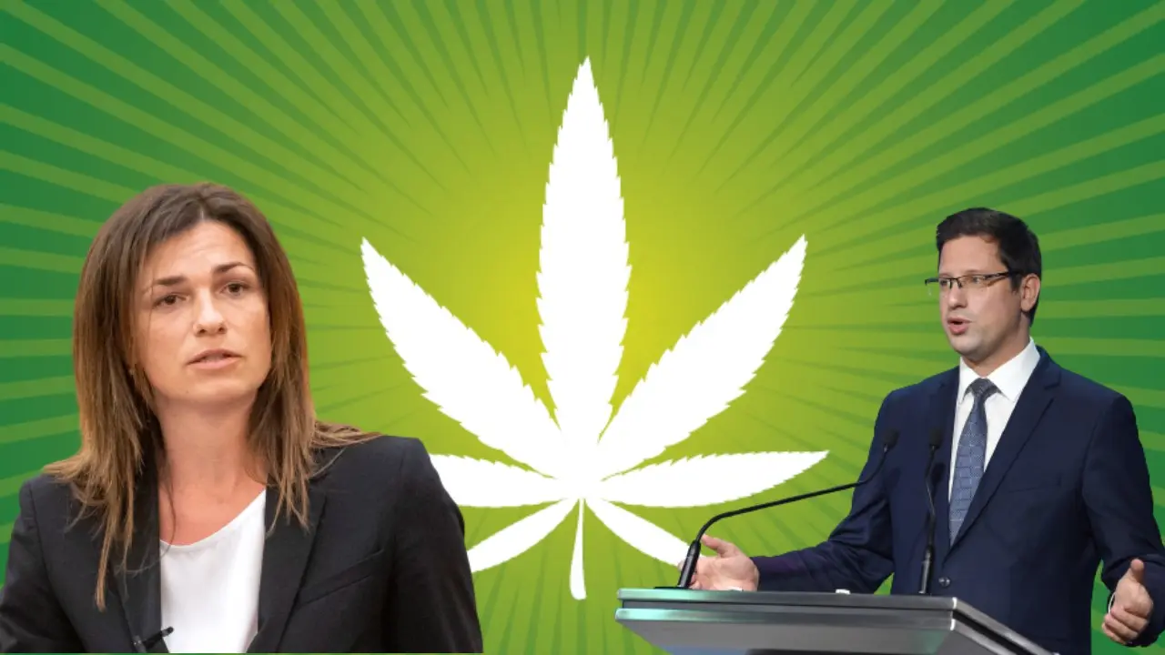 Szele Tamás: Marihuána és melegházasság thumbnail