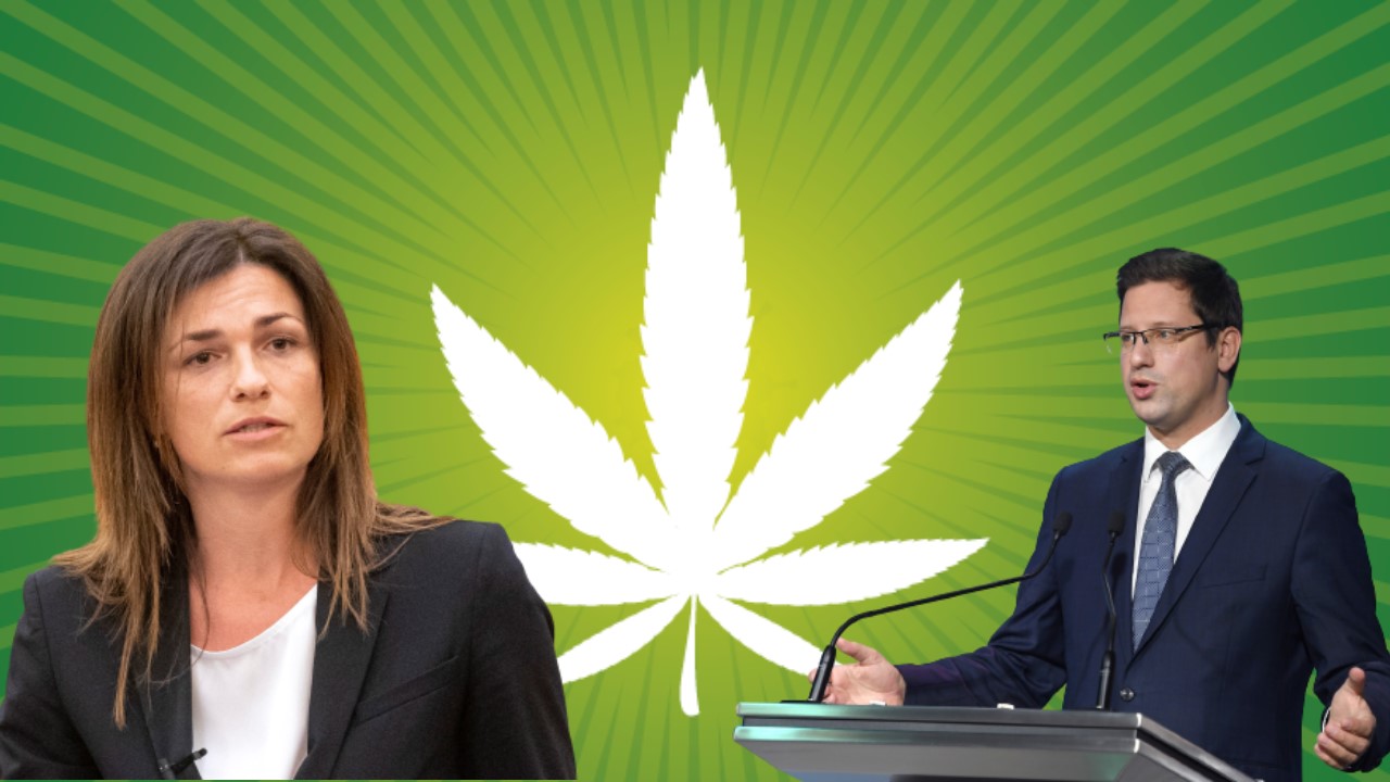 Szele Tamás: Marihuána és melegházasság thumbnail